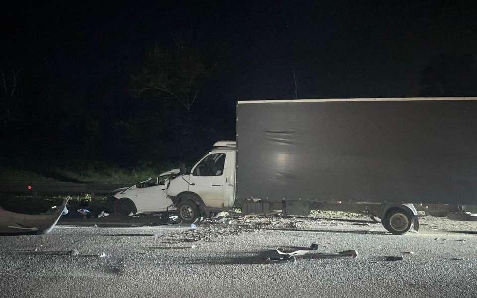 Пенсионеров в легковушке раздавил грузовик из Краснодара на трассе под Воронежем
