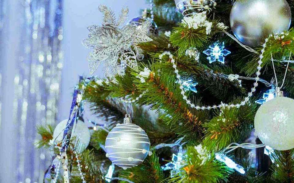 В аренду новогоднюю елку предложили воронежцам