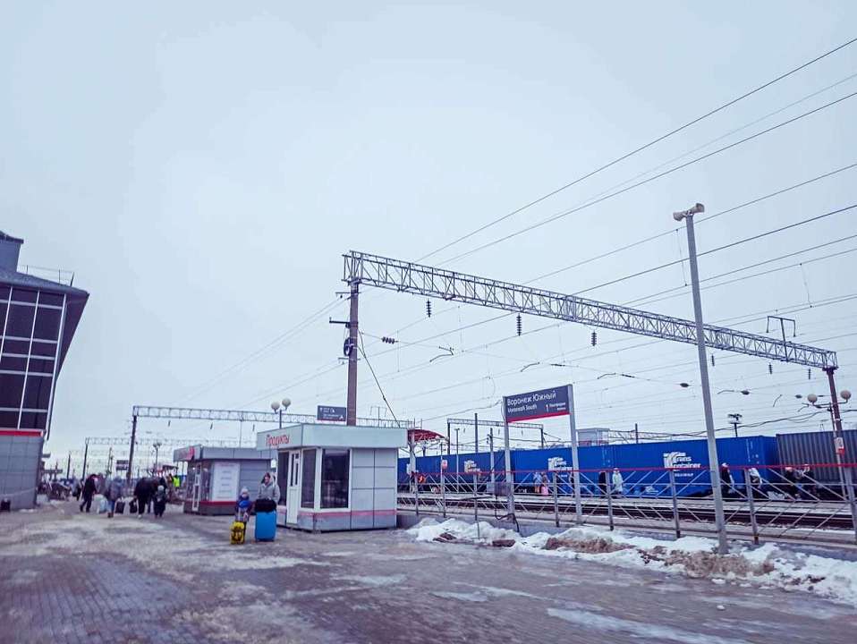 Задержали отправление проходящих через Воронежскую область поездов