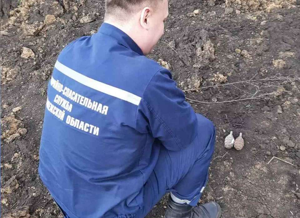 Две гранаты взорвали в Воронежской области