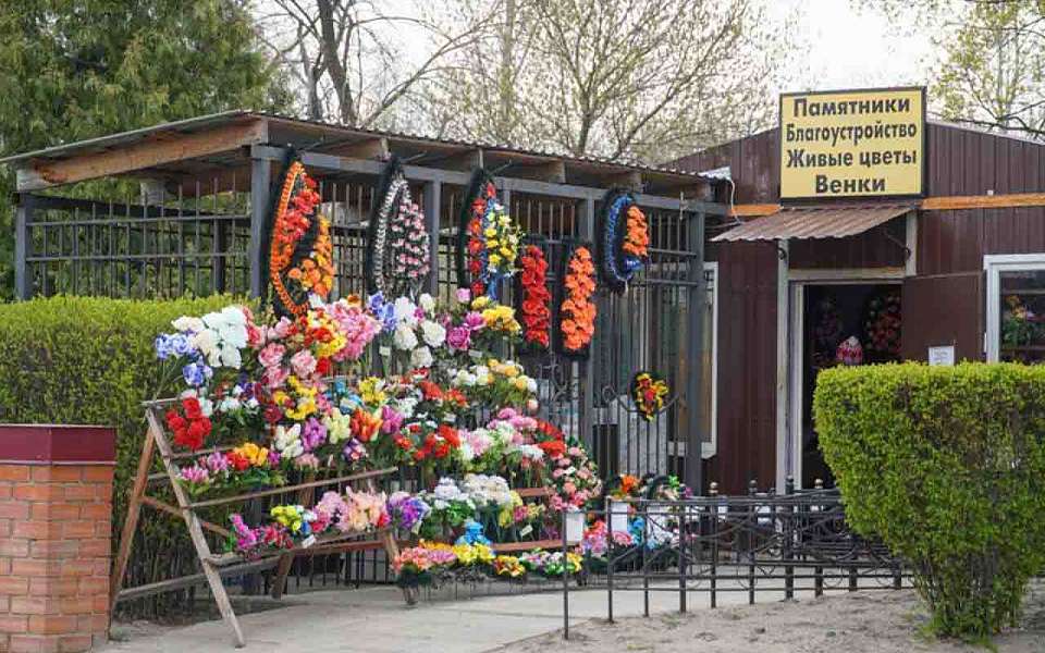 На 4,9 тыс. человек сократилось население Воронежской области за три месяца