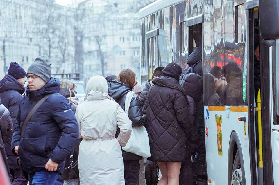 Новый автобус от ЖК «Грин Парк» до ВГУ запустят с 1 января в Воронеже