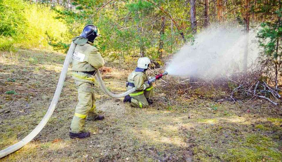 Для Воронежской области прогнозируют четвёртый класс пожарной опасности