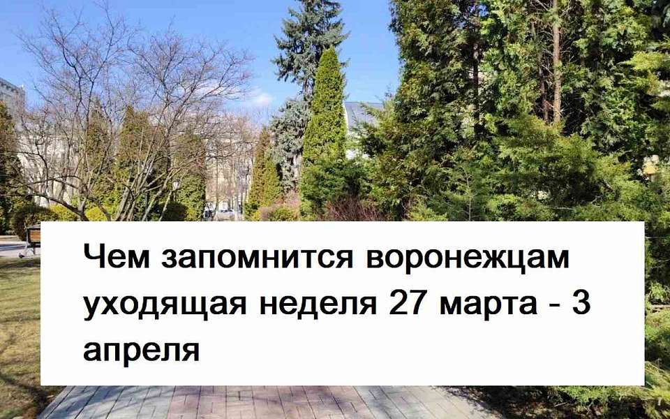 Чем запомнилась в Воронеже неделя с 27 марта по 3 апреля