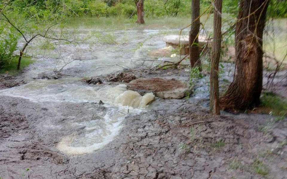 Возмещен ущерб, нанесенный воронежскому парку «Оптимистов» 