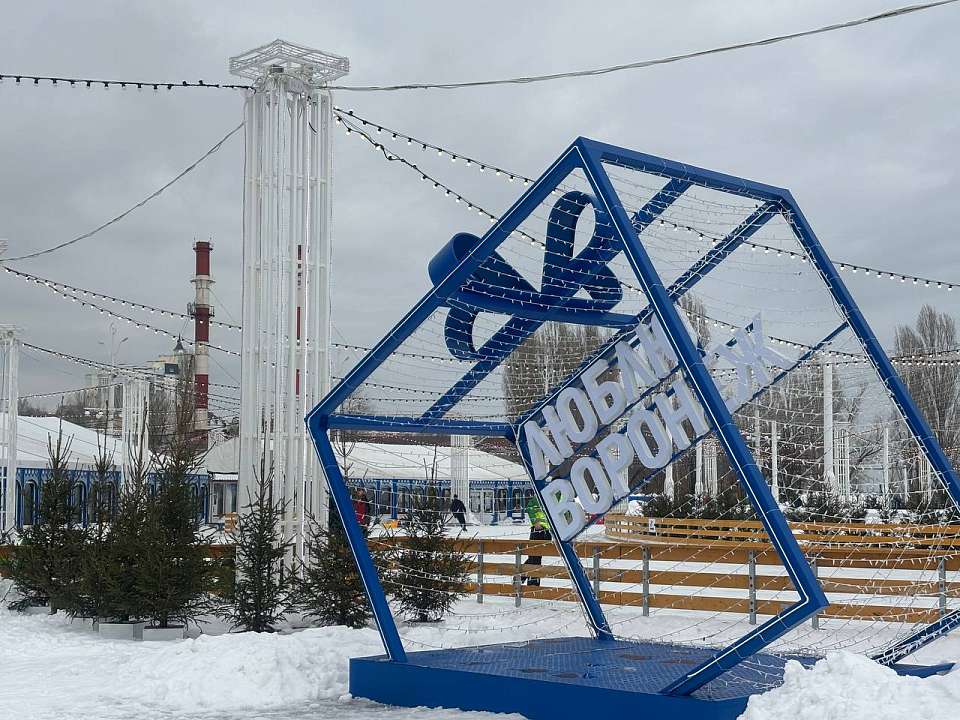 Воронежцев пригласили завершить ледовый сезон