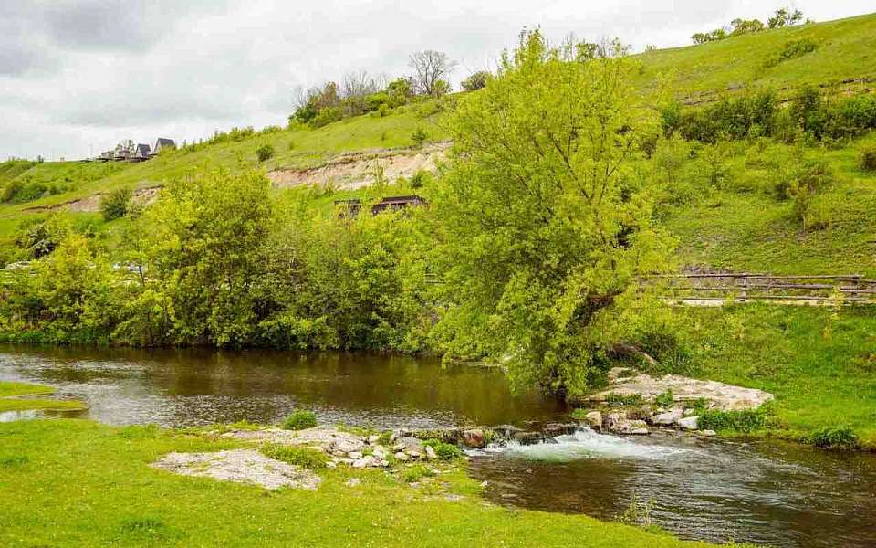 Саратовская фирма подготовит речку Тихая Сосна к расчистке в Воронежской области
