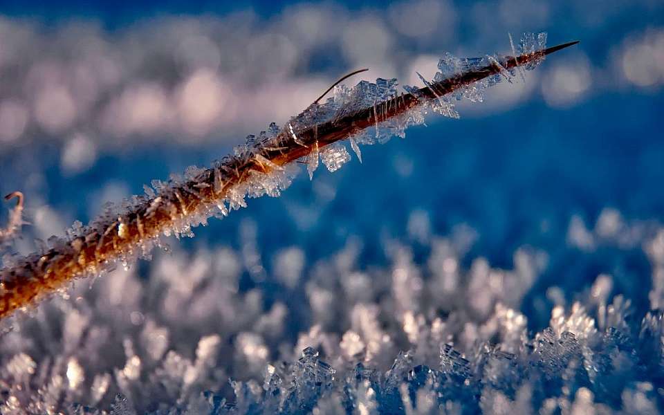О возвращении 5-градусного мороза предупредили воронежские синоптики