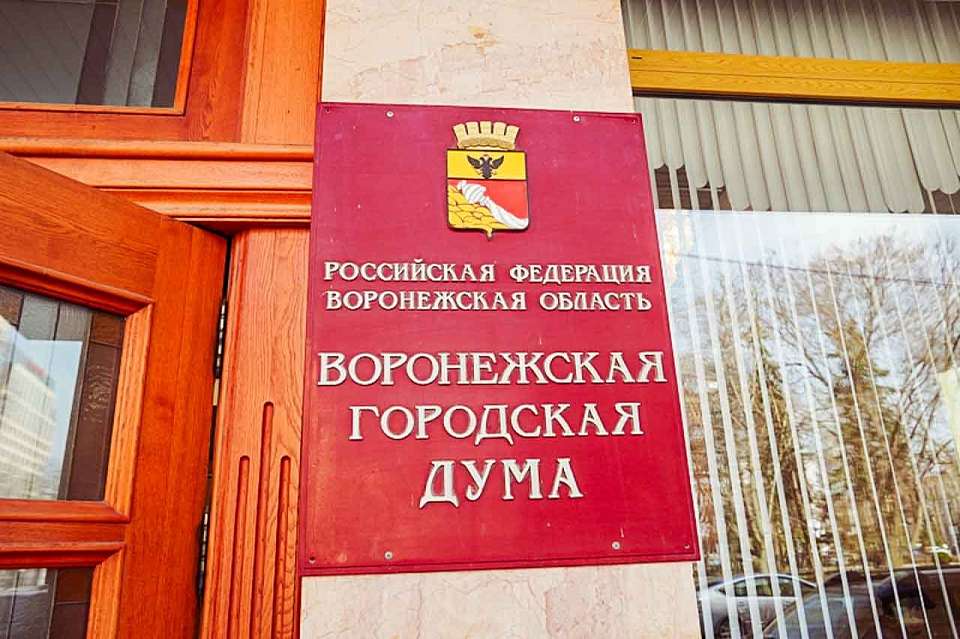 Досрочно сложил Роман Жогов полномочия депутата Воронежской гордумы
