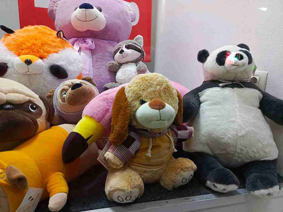 В число лучших по стране для многодетных семей по итогам 2025 года вошла Воронежская область