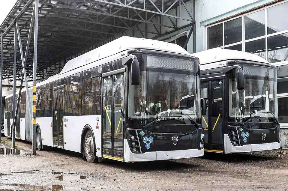 На востребованные маршруты Воронежа вышли новые автобусы-«гармошки»