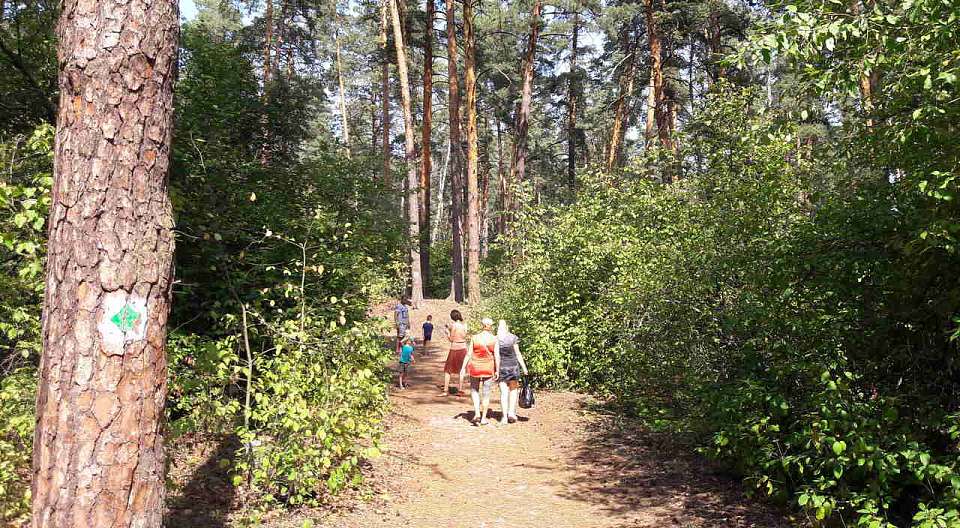 График работы заповедника в Воронежской области на майские праздники изменился