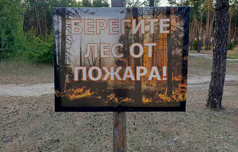 В мае ожидается высокий риск природных пожаров в Воронежской области