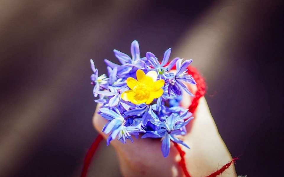 О погоде на среду, 27 марта, рассказали воронежские синоптики