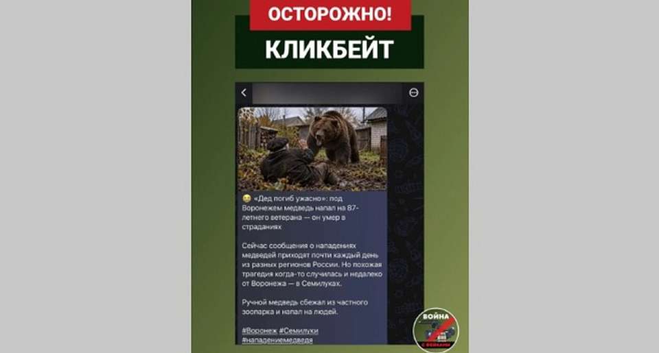 Фейк о недавнем нападении медведя на 87-летнего ветерана распространили в Воронеже