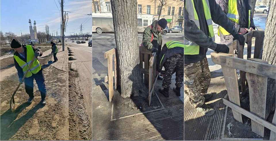 В Ленинском районе снимают «юбки». С деревьев