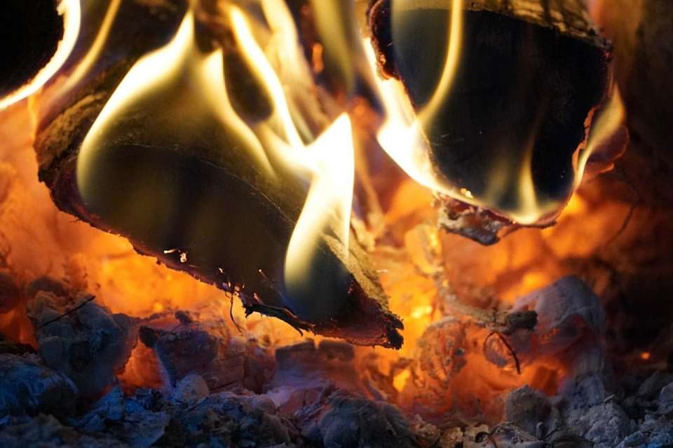 Чрезвычайная пожарная опасность с 3 мая после заморозков накроет Воронежскую область