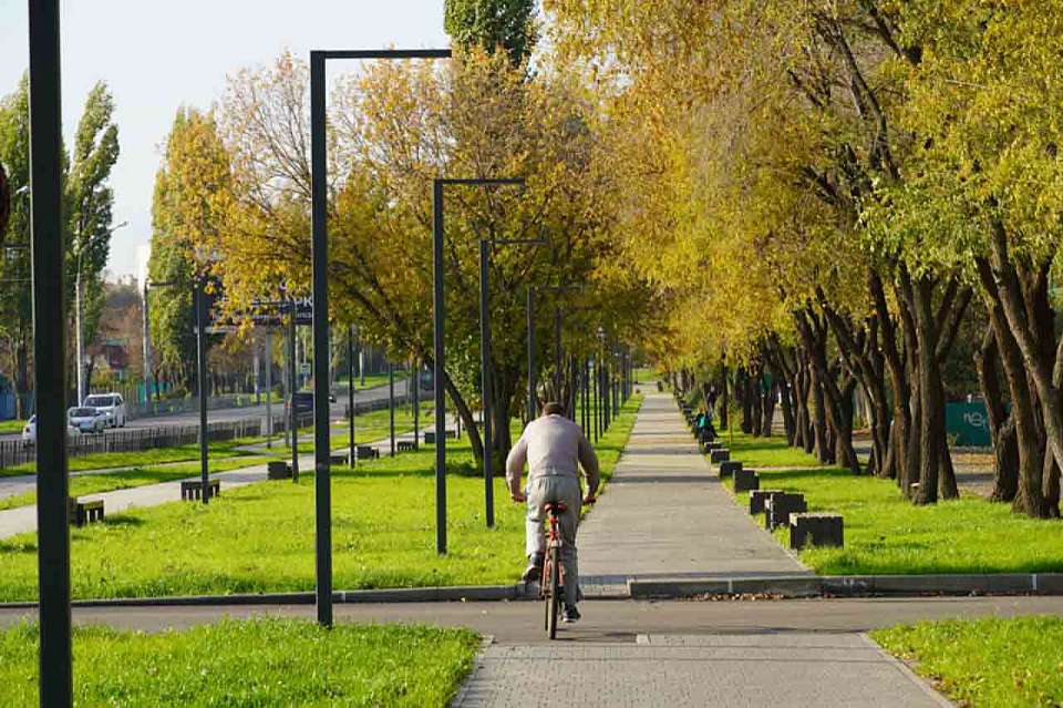 Более 20 млн рублей направят на благоустройство сквера Защитников Воронежа 