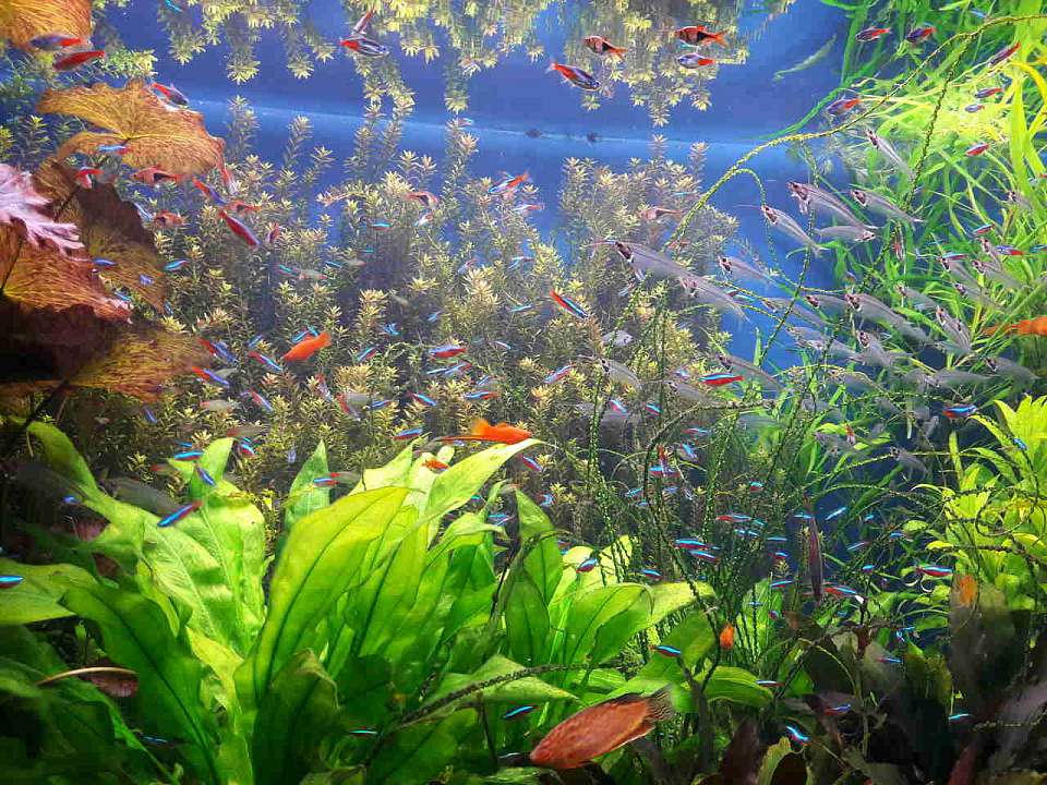 О необычных вакансиях рассказали воронежцам