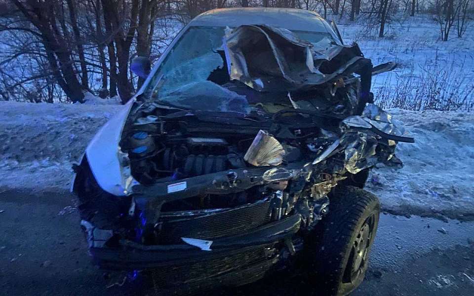 В лобовом ДТП с фургоном пострадал водитель Škoda под Воронежем