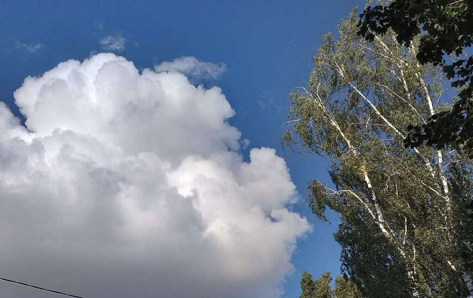 Прогноз погоды на вторник, 26 августа, дали воронежские синоптики