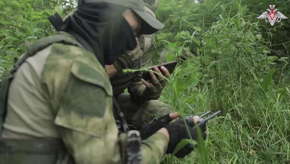 Более 300 заявок подали на участие в региональной программе «Герои земли Воронежской»