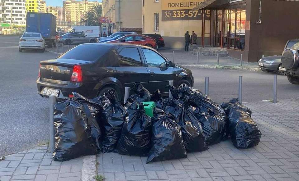 В Центральном районе стартовал осенний месячник благоустройства