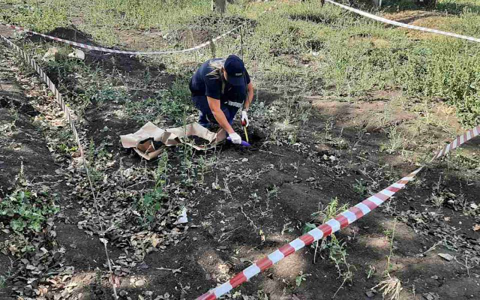 Кафе «Помпончик» нанесло ущерб почвам на 132 тыс. рублей в Воронежской области