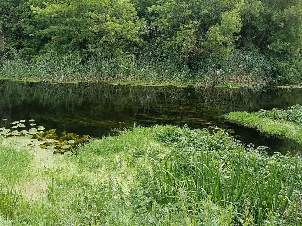 В воронежском Дивногорье ведут незаконные земельные работы