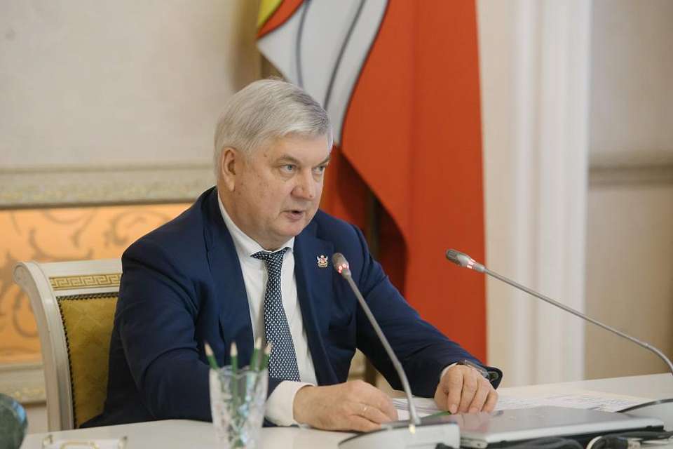 Более 3 тыс. соцконтрактов для поддержки многодетных семей в 2025 году заключит Воронежская область