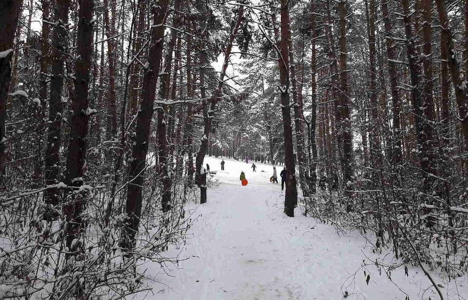 Мороз в начале новой рабочей недели в Воронеже только усилится