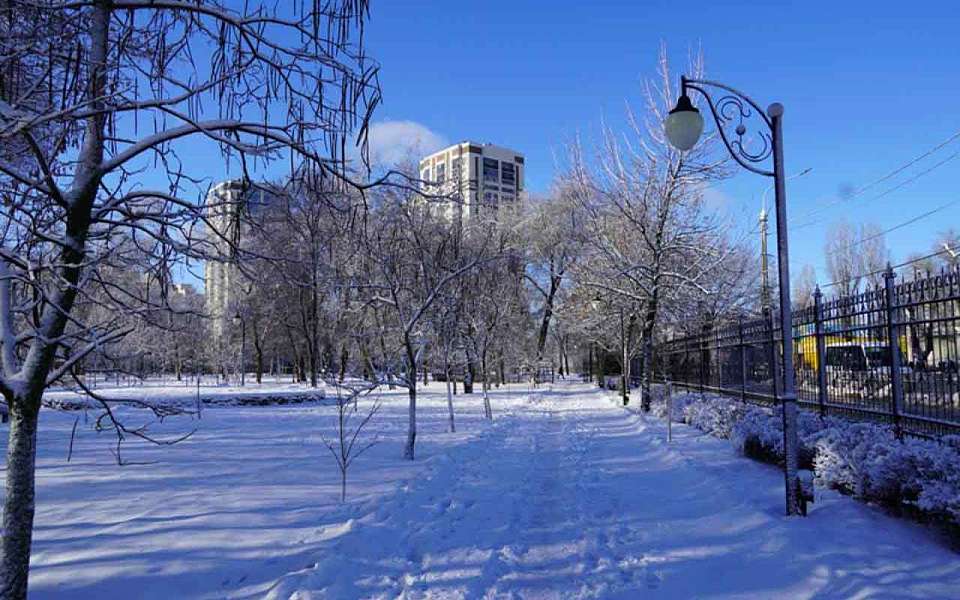 Солнечный и морозный день ожидает 4 февраля воронежцев