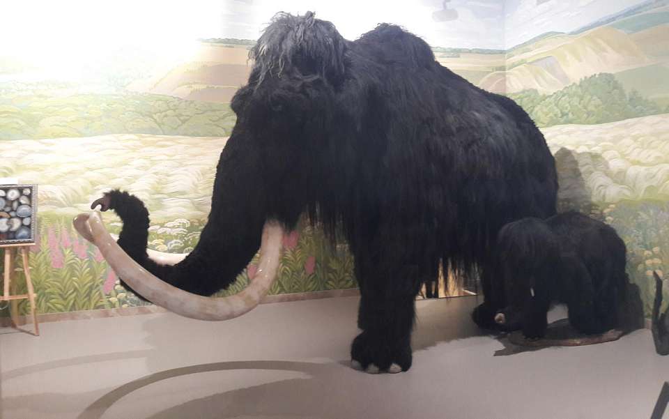 На форум «Антициклон» в Воронеже съедутся политики из Европы и Азии