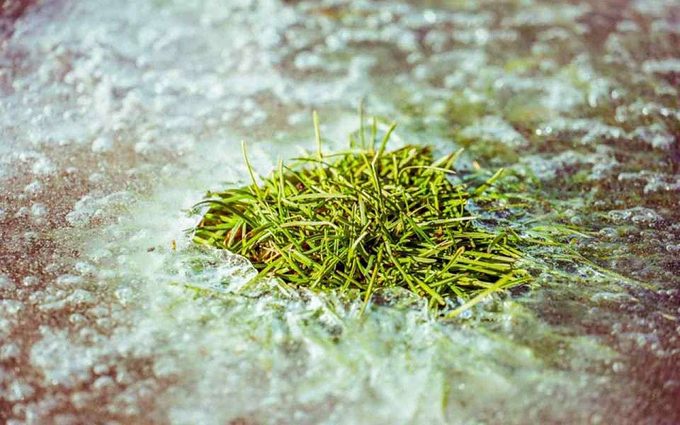 До +7 градусов потеплеет 1 марта в Воронежской области