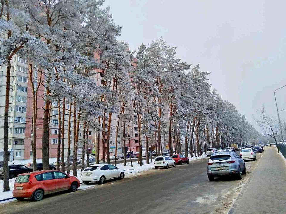 Что будет в Воронеже 18 февраля. Агафья Коровница. День органов внутренних дел на транспорте. «Первопроходцы каменного века». «Бременские музыканты»