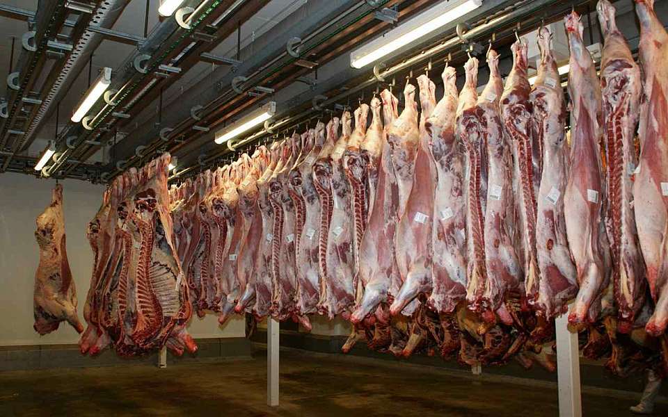Прокуроры вскрыли экологические нарушения на мясокомбинате под Воронежем