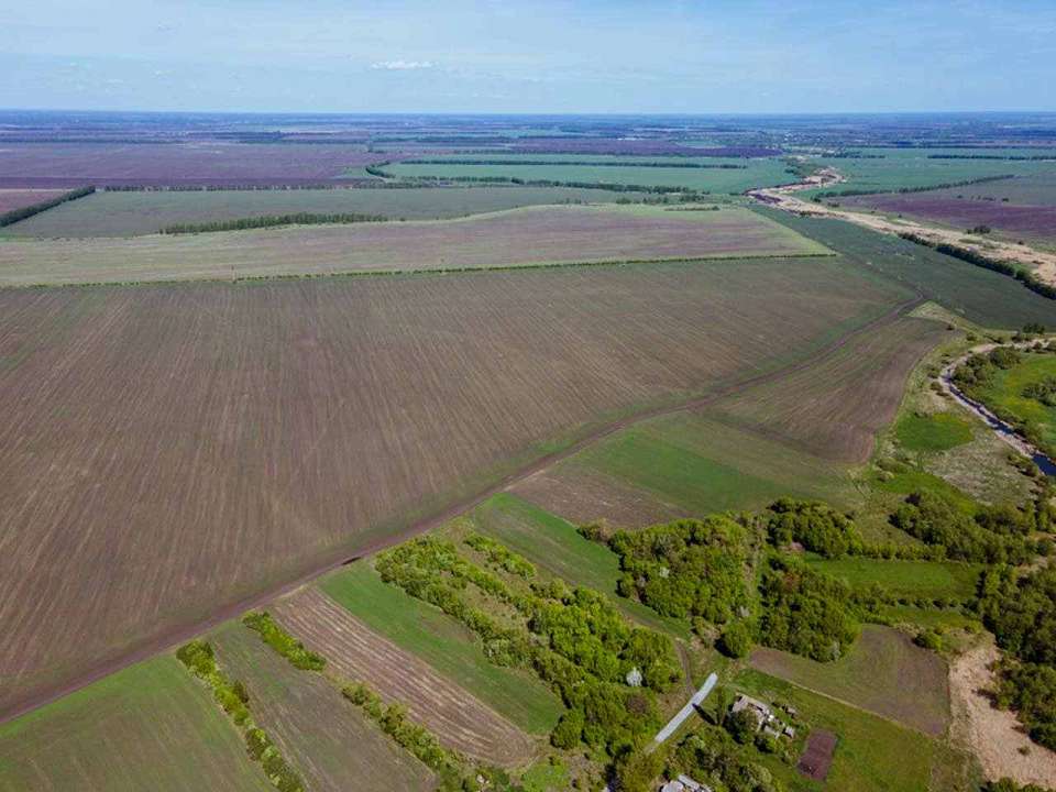 Прибывшие из Канады 12 тонн опасного посевного материала выявили в Воронежской области