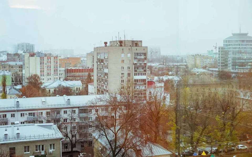 От потепления до +14 градусов до мороза и снега пройдет погода на рабочей неделе в Воронежской области