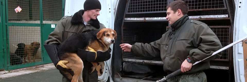                      В Коминтерновском районе практикуют «некабинетный» стиль работы