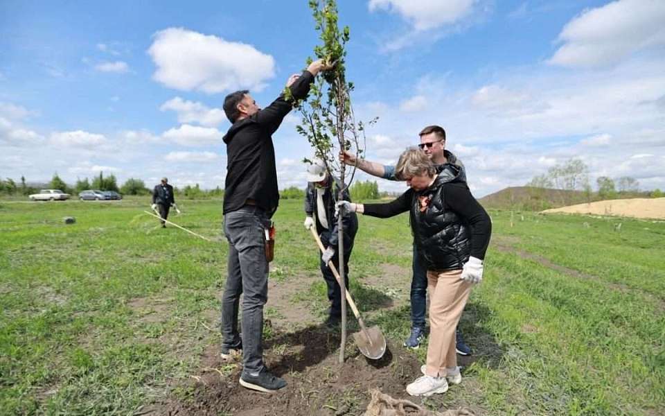 В Воронежской области высадили более 23 тысяч деревьев