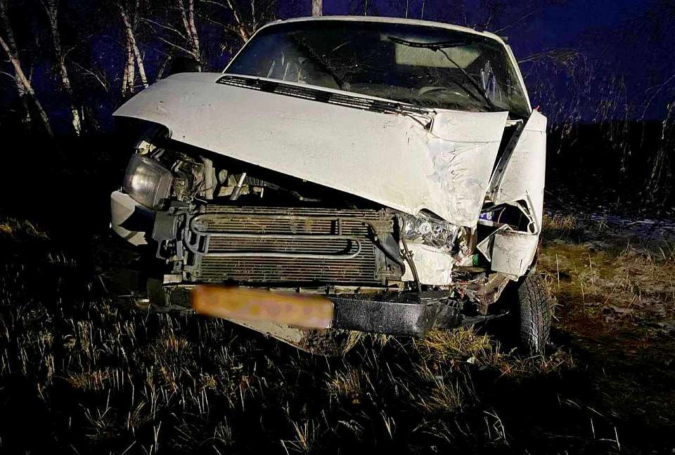 Легковушка въехала в дерево на трассе Воронеж - Луганск