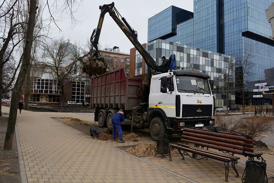 В воронежском сквере Дома офицеров вырубили «пылящие» тополя