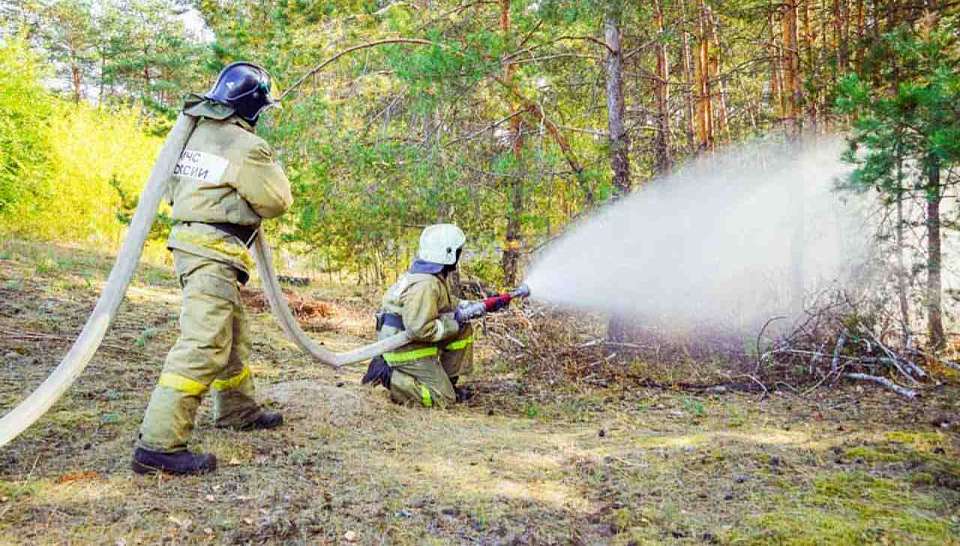 В зону высоких рисков июньских природных пожаров угодила Воронежская область