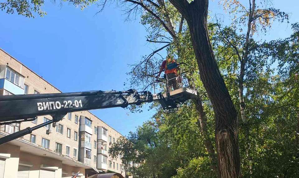 В Железнодорожном районе продолжается плановая работа по уходу за зелёными насаждениями