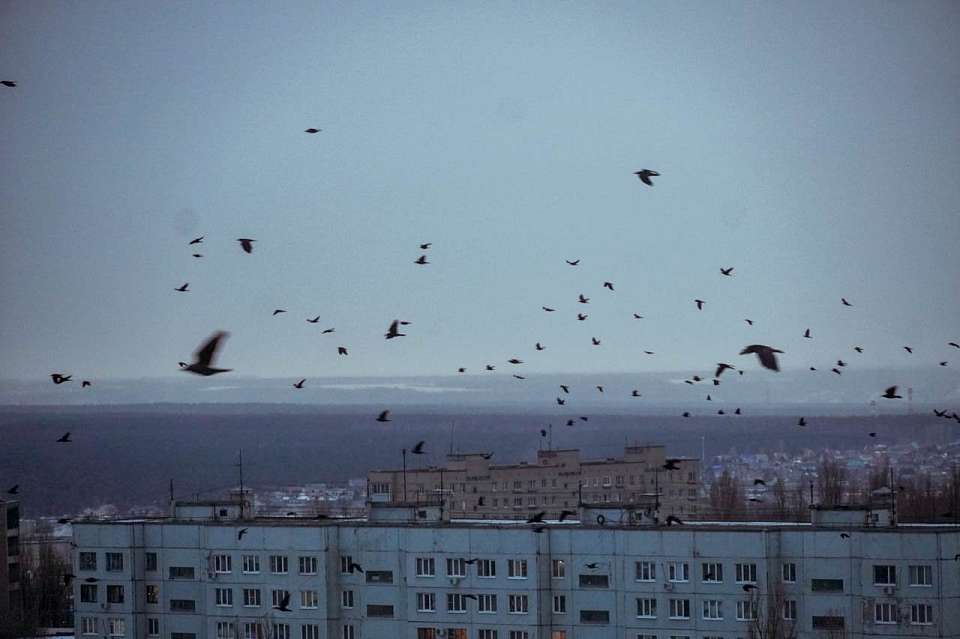 Воронежцев эвакуировали с площади Ленина и катка при ракетной опасности