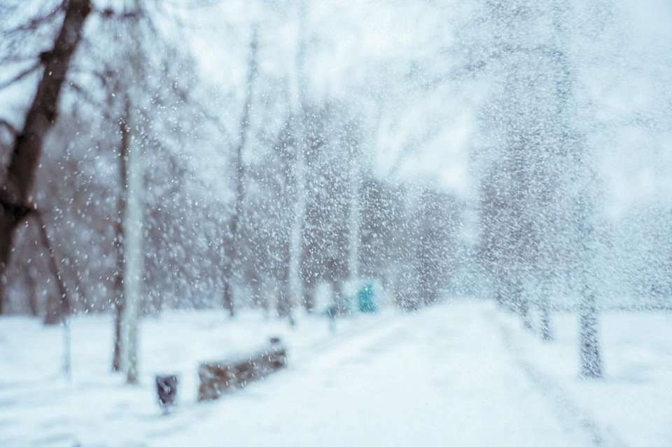 Снежными и морозными станут последние выходные 2026 года в Воронежской области