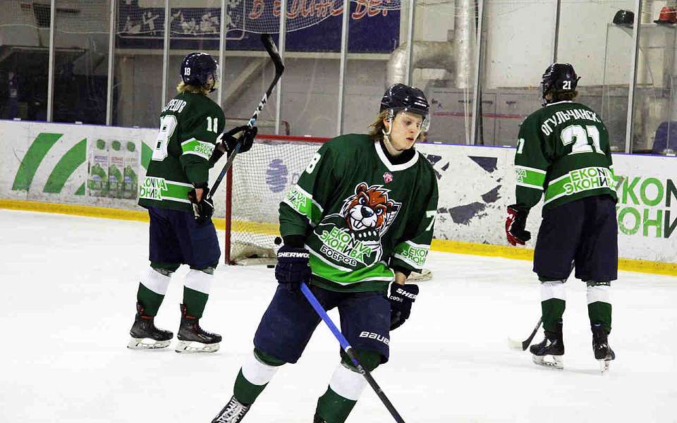 Хоккеисты из Воронежской области порадовали своих болельщиков победами 