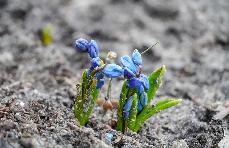 О погоде на вторник, 8 апреля, рассказали воронежские синоптики