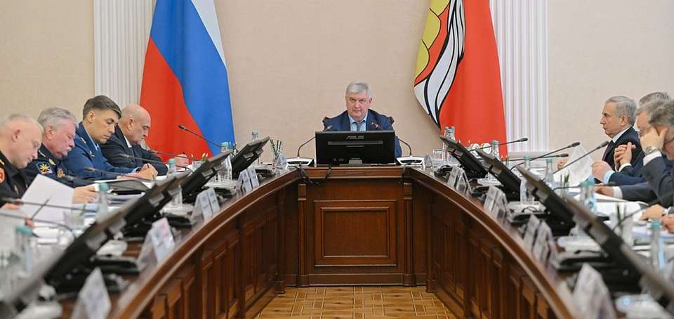 Салюта в День Победы в Воронеже не будет, а «Бессмертный полк» пройдёт онлайн