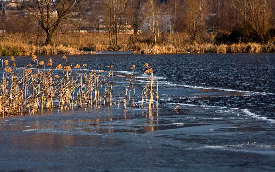 Дополнительные меры противопаводковой защиты готовят в Воронежской области